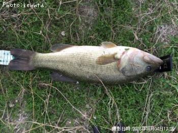 ¥Ö¥é¥Ã¥¯¥Ð¥¹