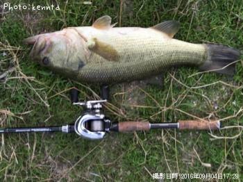 ¥Ö¥é¥Ã¥¯¥Ð¥¹