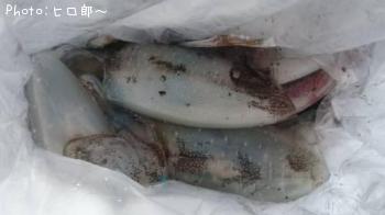 �����ꥤ��