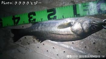 �����Х�����Х�