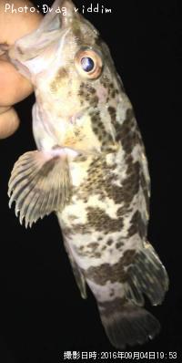 ¥¿¥±¥Î¥³¥á¥Ð¥ë