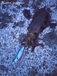 �����ꥤ��