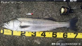 �����Х�