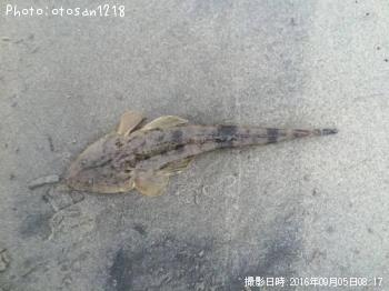 �ޥ���