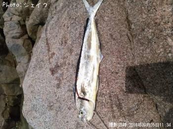 ������ʥڥ�ڥ��