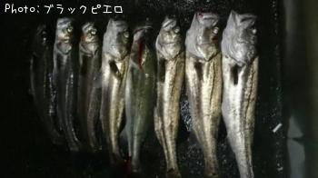 �����Х�