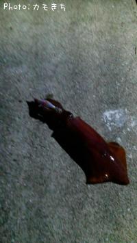 ���󥵥�����