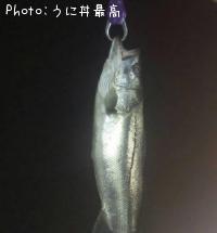 �����Х�