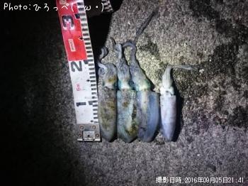 ¥¢¥ª¥ê¥¤¥«