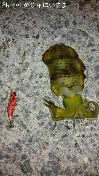 �����ꥤ��