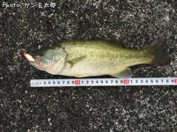 �֥�å��Х�