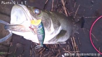 �����Х�