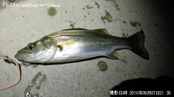 �����Х�