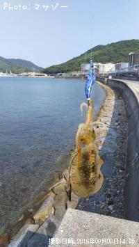 �����ꥤ��