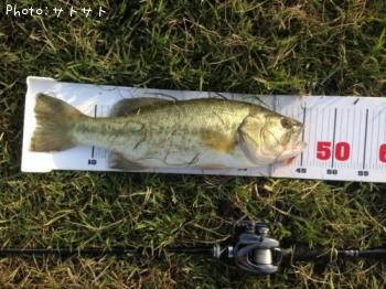 �֥�å��Х�