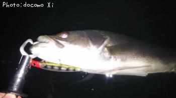 �����Х�