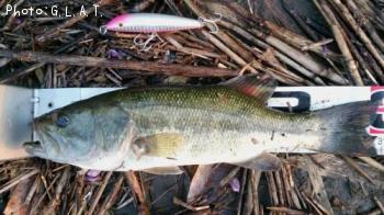 ¥Ö¥é¥Ã¥¯¥Ð¥¹