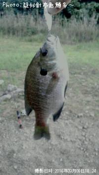 �Ǥ�����