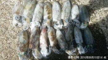 ¥¢¥ª¥ê¥¤¥«