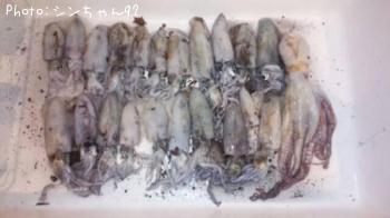 �����ꥤ��