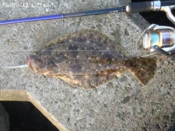 �ҥ���򥽥�