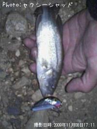 �֥�å��Х�