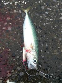 ���ޥ���