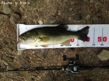 �֥�å��Х�