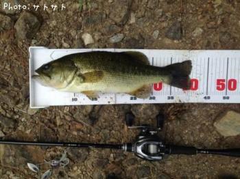 �֥�å��Х�