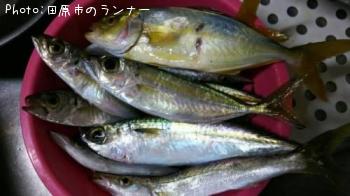 ���祴�����������С����ޥ�