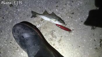 �����Х�