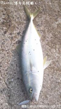 �䥺���ޤμ���ˡ���ġ��������������ꥤ��