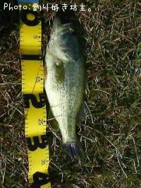 ¥Ö¥é¥Ã¥¯¥Ð¥¹