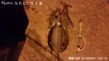 �����ꥤ��