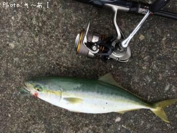 ���ʥ��ʥ��å���