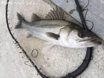 �����Х�