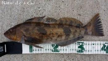 �����ʥ�