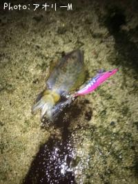 �����ꥤ��