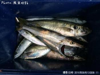 �ĥ��������������֥��ޥ���