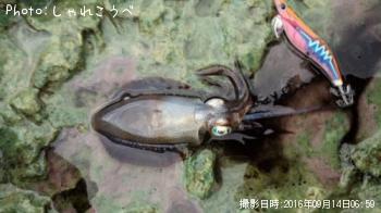 �����ꥤ��