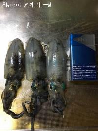 �����ꥤ��