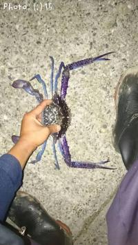 �����Х���������