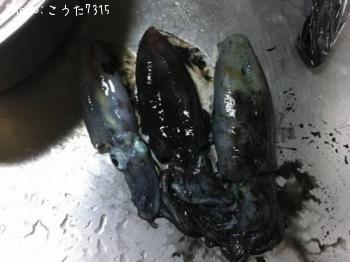 �����ꥤ��