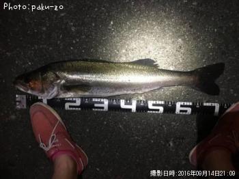 �����Х�