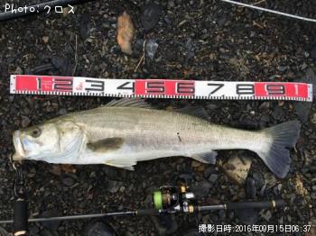 �����Х�