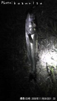 �����Х�