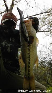 �֥�å��Х�