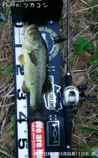 ¥Ö¥é¥Ã¥¯¥Ð¥¹