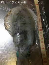 �����ꥤ��