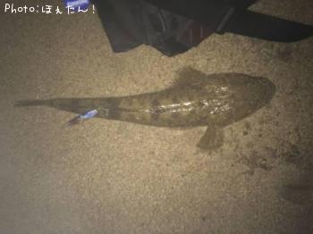 �ޥ���